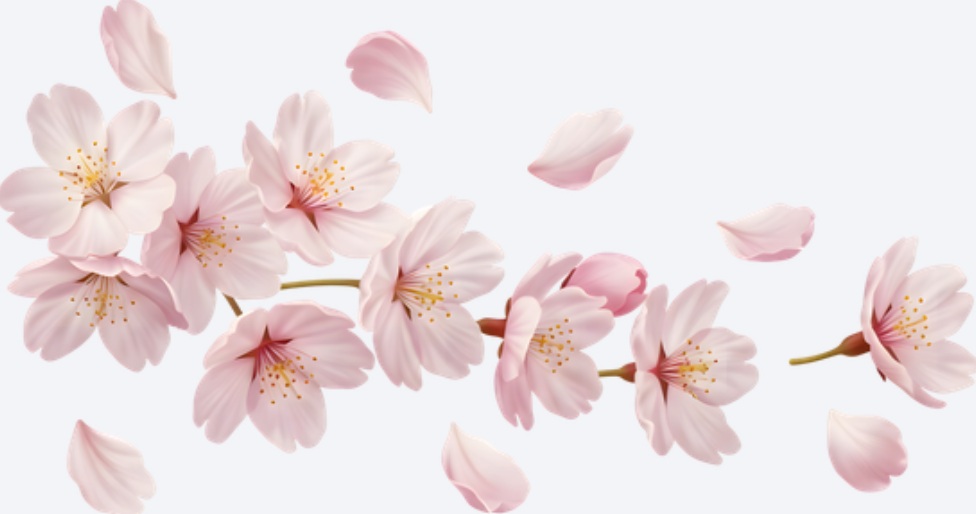 Nowy numer gazetki „Luzik” już dostępny!